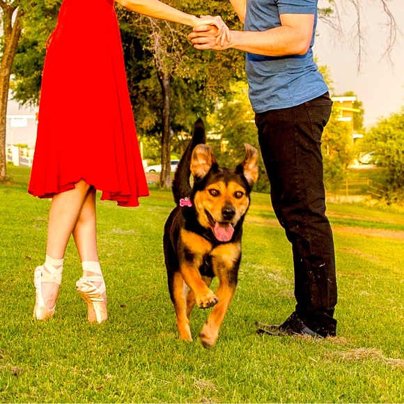 Meet your Posher, Juliana - Picture 1 of 1